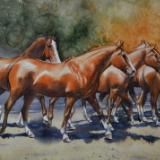Dance of horses 1, 38cm x 56cm, 2020