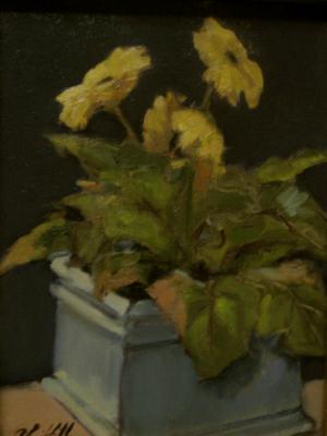 Gerber Daisies 12"x16" oil sold Gerber Daisies 12"x16" oil sold