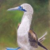 Paintings and Drawings