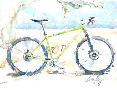 Niner Mountain Bike Niner Mountain Bike