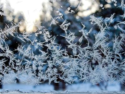 Hoarfrost Hoarfrost