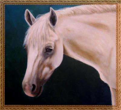 Australian Pony