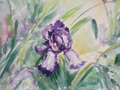 Watercolor iris 
