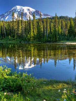 Spring at Reflection Lakes Spring at Reflection Lakes