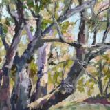 Local Plein Air Paintings Local Plein Air Paintings