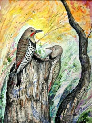 “Red-Shafted Flickers” “Red-Shafted Flickers”