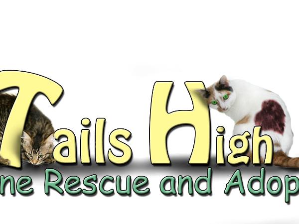 Tails High Logo v5
