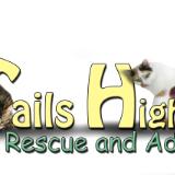 Tails High Logo v5