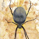 Golden Orb Weaver