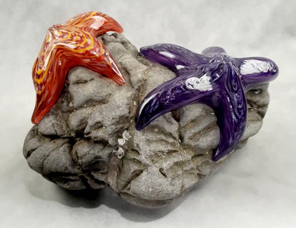 #01 #09162511 Two Starfish on rock Purple & Orange 6.25''HX10''WX7.5''D $280.00