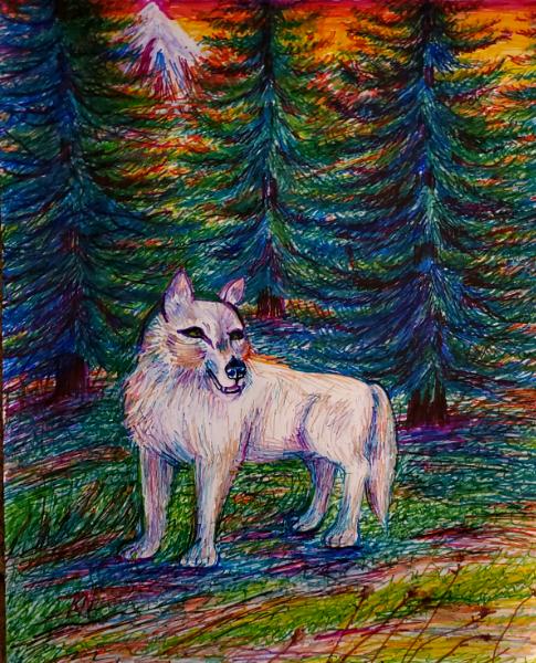 Wolf Country 