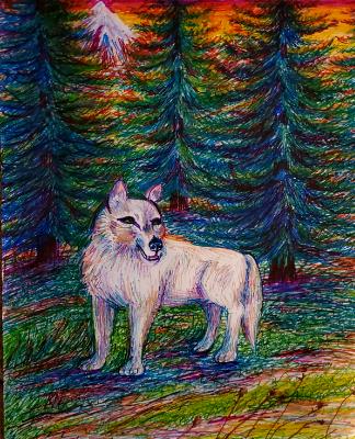 Wolf Country Wolf Country