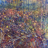 Benjamin Vanderwerff
