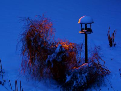 Bird feeder at sunset. Adjala,Dec. 23,2016.