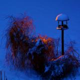 Bird feeder at sunset. Adjala,Dec. 23,2016.