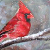 Canadian Red
