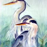 Blue Herons