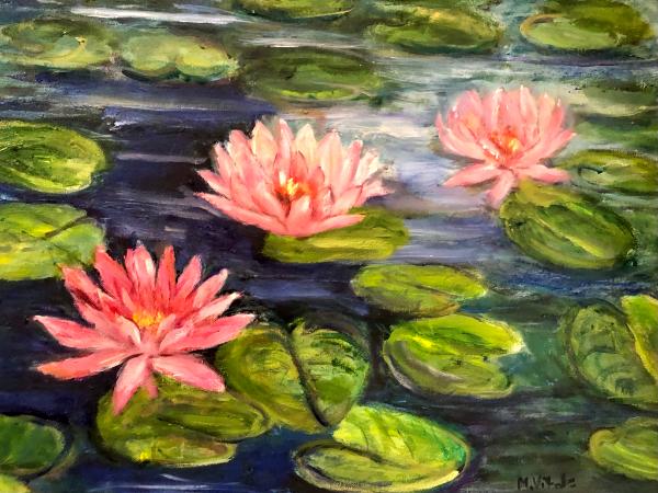 water lilies again