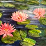 water lilies again