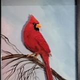 The Sunrise Cardinal