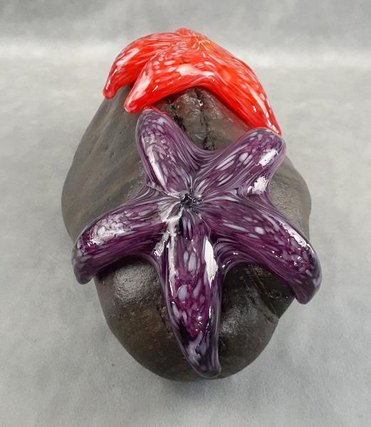  #08302401 Starfish on rock 4''HX10.25WX6.5''D $275.00