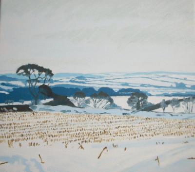 Snowy fields near Woolfardisworthy