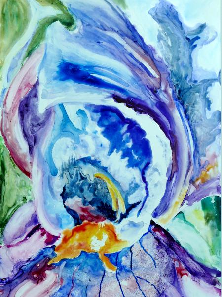 An Iris Close Up