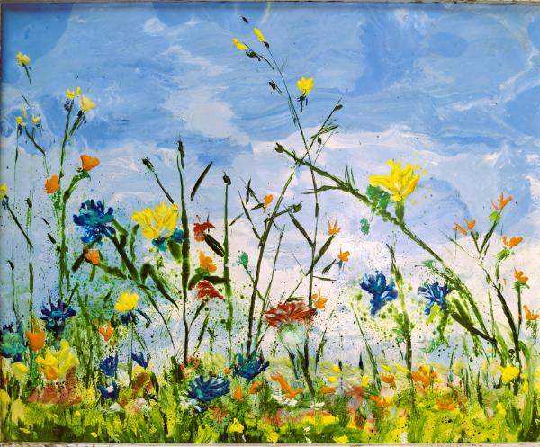 Field of Wildflowers