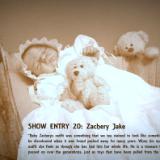 Online Entry ~ Zackery Jake