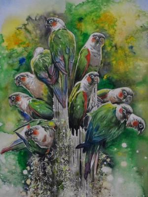 Parakeets bouquet, 38cm x 56cm, 2020