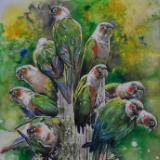 Parakeets bouquet, 38cm x 56cm, 2020