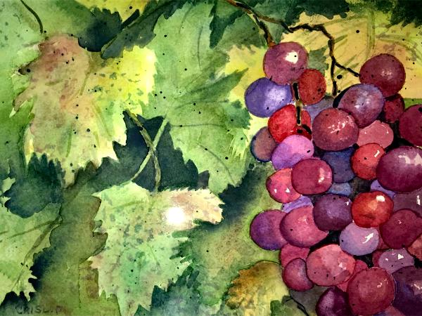 Ripe for the Picking