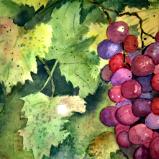 Ripe for the Picking