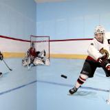 Hockey mural