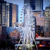 Seattle Wheel