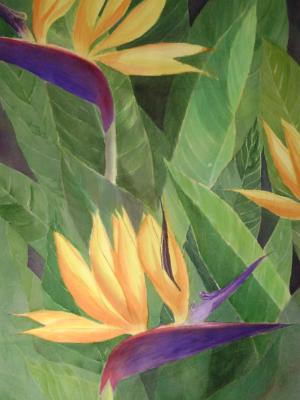 Birds Of Paradise ~ Watercolor ~ 18X24 Birds Of Paradise ~ Watercolor ~ 18X24