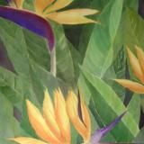 Birds Of Paradise ~ Watercolor  ~ 18X24
