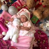 Christmas 2016 Show entry: Hope (S.M)
