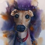 Harold the Grayhound (watercolor)