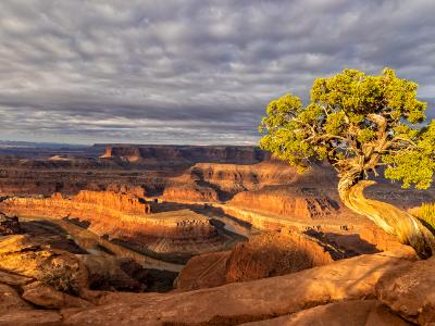 Dead Horse Point Dappled Sunlight Dead Horse Point Dappled Sunlight