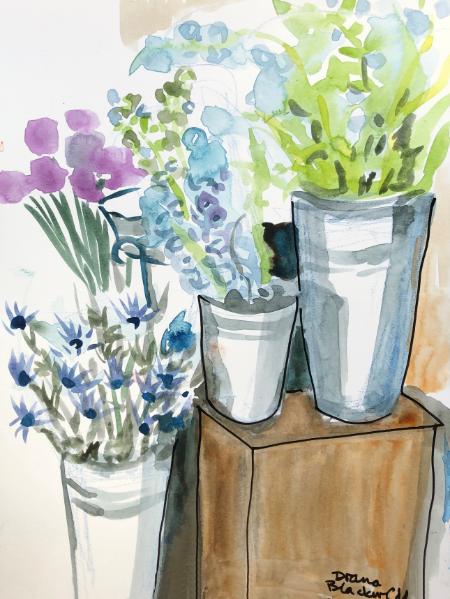 Delphiniums at the Flower Shop