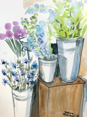 Delphiniums at the Flower Shop Delphiniums at the Flower Shop