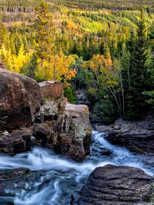 Glacier Creek Fall Color Glacier Creek Fall Color