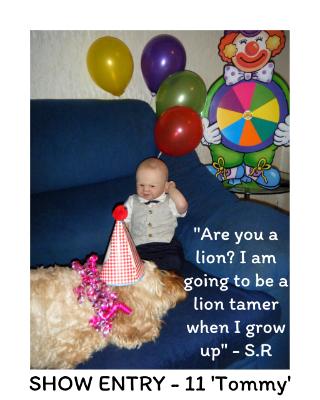 Show Entry ~ TOMMY (S.R) Photo Entry