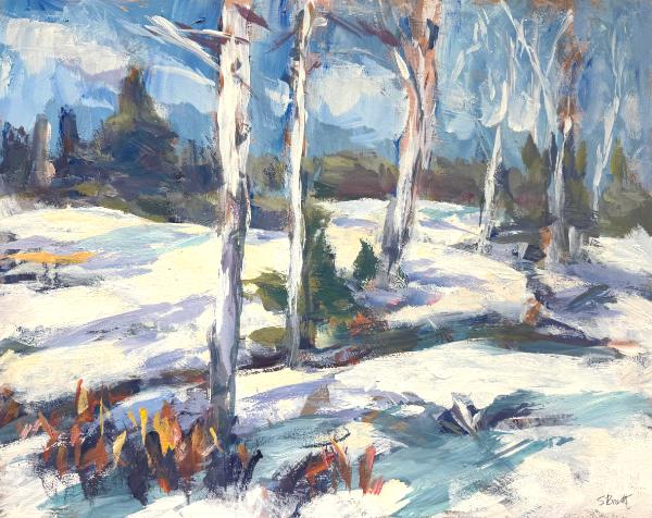 Shingle Creek