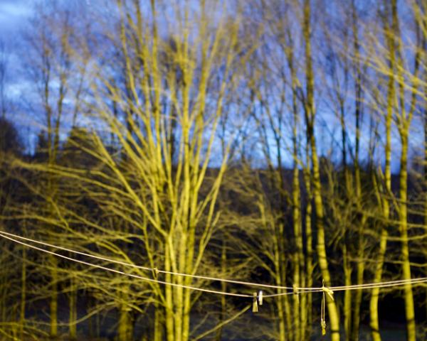 untitled (canon r50 thypoch 28mm f/1.4)