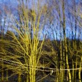 untitled (canon r50 thypoch 28mm f/1.4)