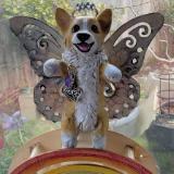 Flutterbye Angel of your furbaby with rainbow stand