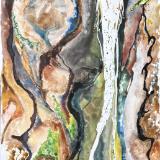 Carla Scheidlinger Watercolors