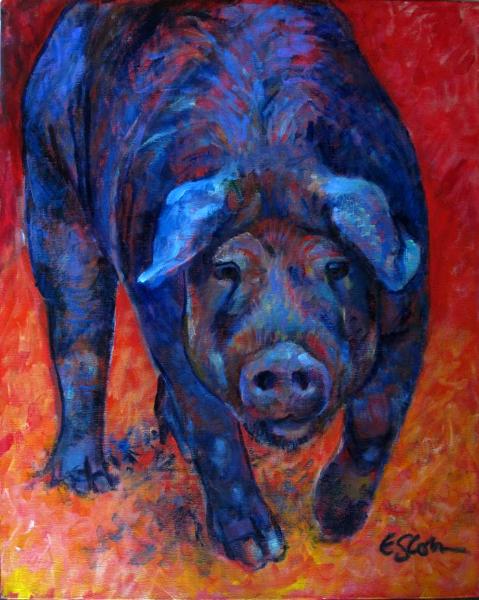 A Pig with an Attitude